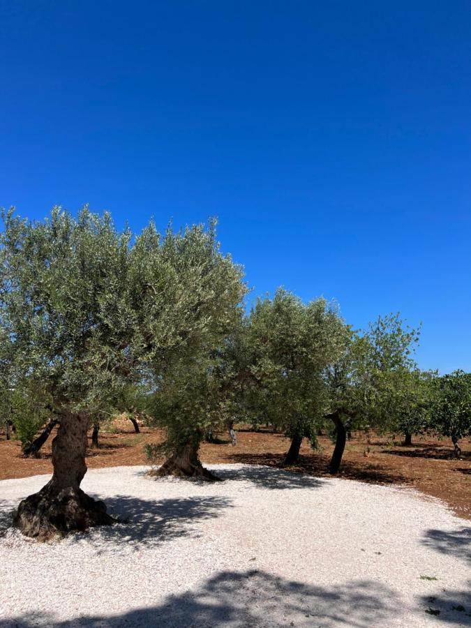 Masseria Concorrano Lejlighed Castellana Grotte Eksteriør billede