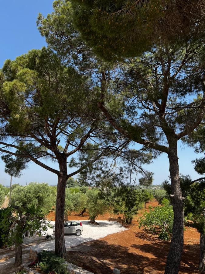 Masseria Concorrano Lejlighed Castellana Grotte Eksteriør billede